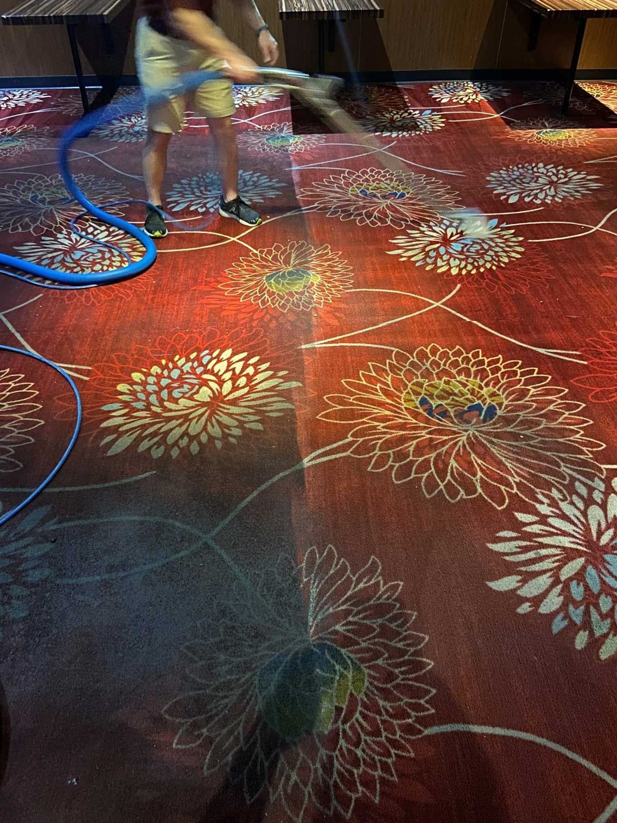 Colorful area rug being professionally cleaned