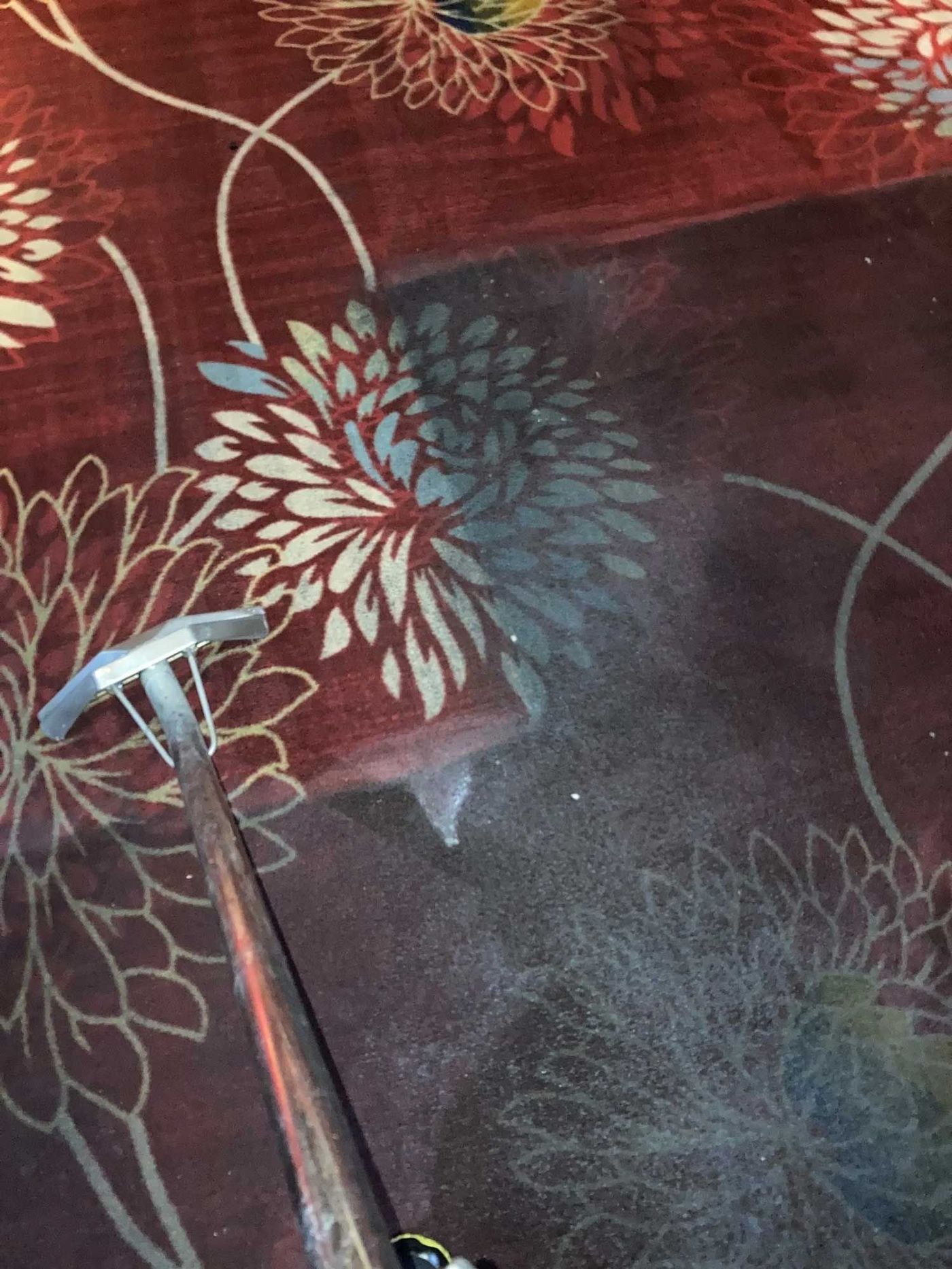 Detail shot of an area rug being cleaned