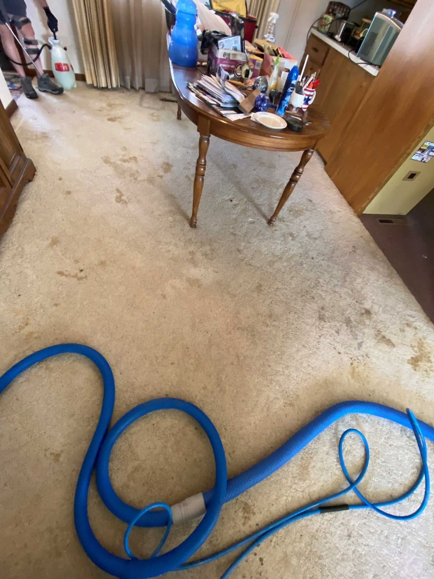 Carpet cleaning hose and equipment set up in a living room