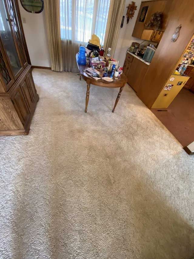 Carpet cleaning in progress in a home hallway